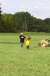 resIMG_20121007_2330.JPG